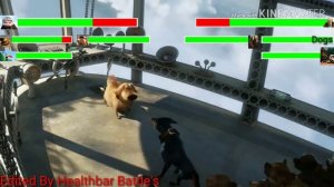 Up Final Battle with healthbars 2/3