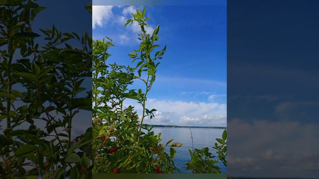 Жизнь как Творчество  Глава 7. Универсальное творчество М.С.Виланова