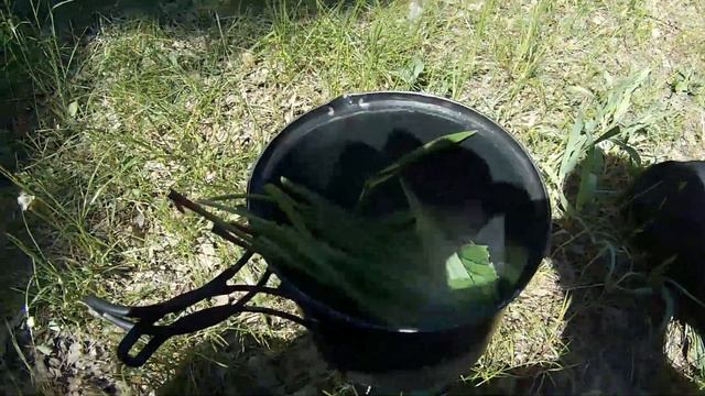 ?ПОДОРОЖНИК ЕВРОПЕЙСКИЙ / СЪЕДОБНОЕ РАСТЕНИЕ? смотреть онлайн