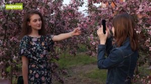 Яблоневый сад