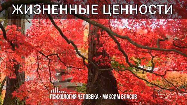 Жизненные Ценности - Какие Самые Важные Жизненные Ценности Есть У Человека - Психология Человека смотреть онлайн
