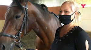 Иппотерапия в Тюмени