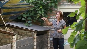 Как самостоятельно сделать компостную яму и получить хороший гумус