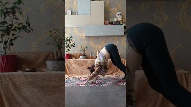 Йога для дітей. Мандрівка в пустелі Єгипту. Урок 8-й смотреть онлайн