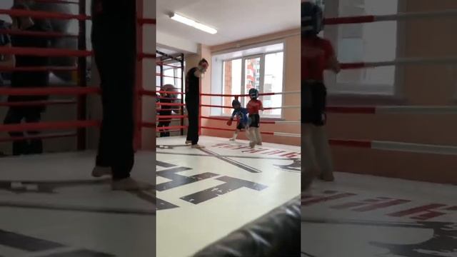 Открытая тренировка по ударной технике Симаков Иван 8 лет(красный) Корнилов Иван 8 лет(синий) смотреть онлайн