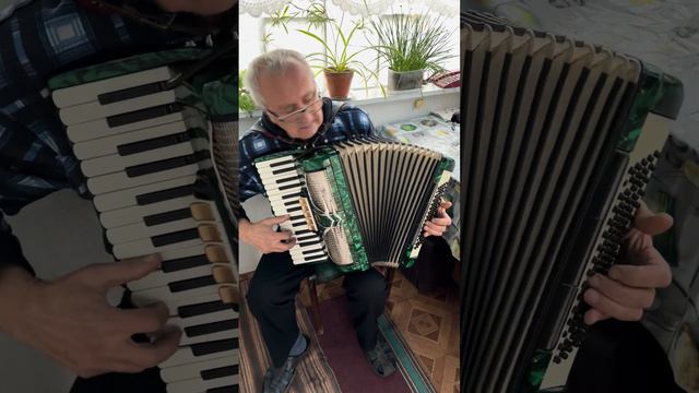 Accordion Firotti, 3/4 Accordion, 80 Bass, 34 Keys, 3 Voices, 5+3 Register, Rare Accordion, ON SALE