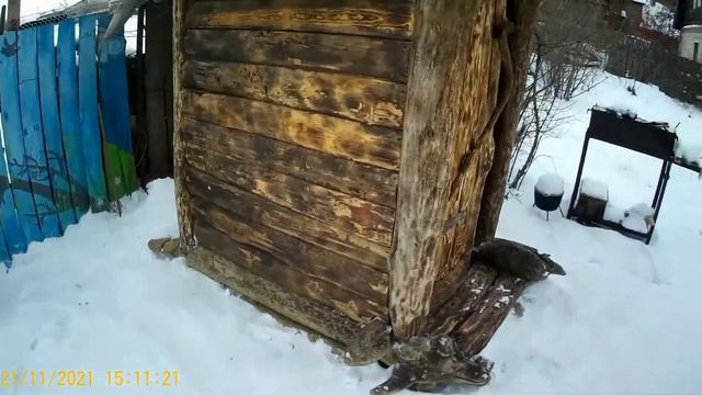 Как построить туалет из горбыля своими руками. смотреть онлайн