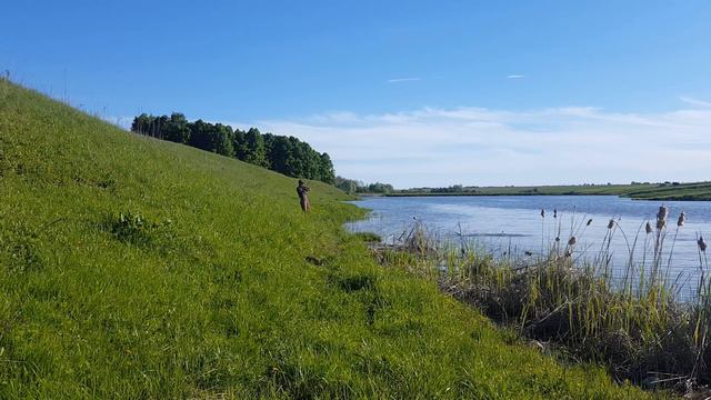 Рыбалка 2019.Рыбалка на спиннинг и на фидер.Ловля щуки и карпа смотреть онлайн
