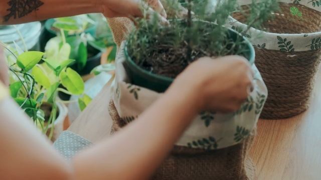 Sub) 4 Easy Ways To Dress Up For Your Indoor Plants | DIY Plant Pots Cover & Plant Stands Ideas