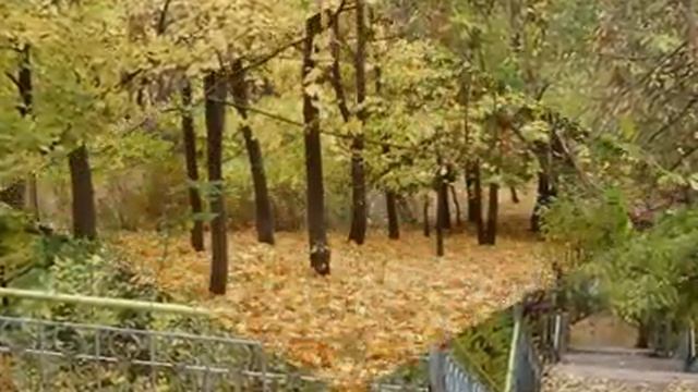 Осенняя мелодия смотреть онлайн