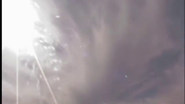 Сокол Пустельга на охоте. смотреть онлайн
