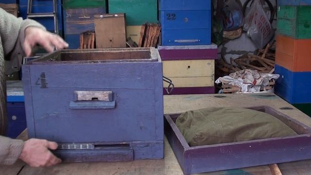 Какой улей выбрать. Как выбрать улей начинающему пчеловоду. Пчеловодство. Пчелы. Пасека смотреть онлайн