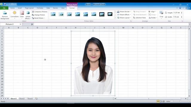 CARA MENGHAPUS BACKGROUND FOTO DI EXCEL смотреть онлайн
