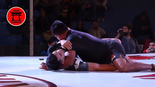 Dojo Fights 2: Efraín Palomino vs José Cornejo смотреть онлайн