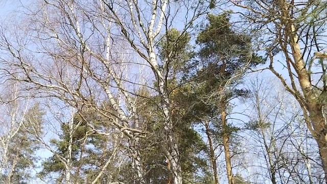 Работы на участке уже начались!