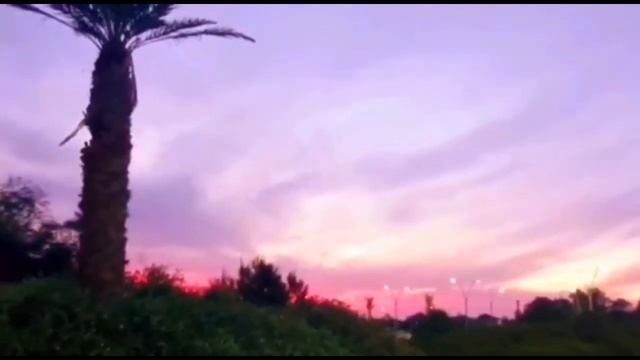 Ты на свете есть @SelenaAlena666 кавер.Запись #JosefAlhazov.#Клипснят нателефонсамсунг. смотреть онлайн