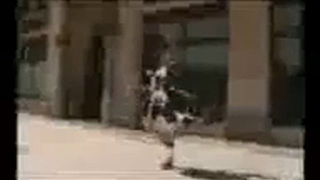 Поющие кот и собака смотреть онлайн