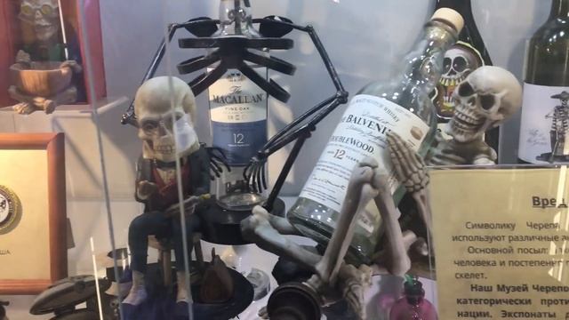 Музеи Зеленоградска (Мурариум, Музей Скелетов и ФилоСовия) смотреть онлайн