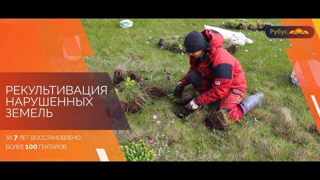 НТП "Рубус", 7 лет в сфере экологических работ на Крайнем Севере смотреть онлайн