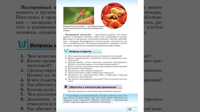 Биология 5к "Живой организм" §19 Простейшие смотреть онлайн