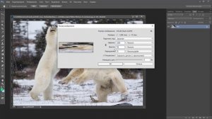 Как из webp сделать jpg или png.Как сохранить картинки с сайта