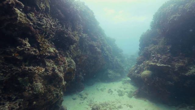 10 Deep Sea Anomalies That Can't Be Explained смотреть онлайн