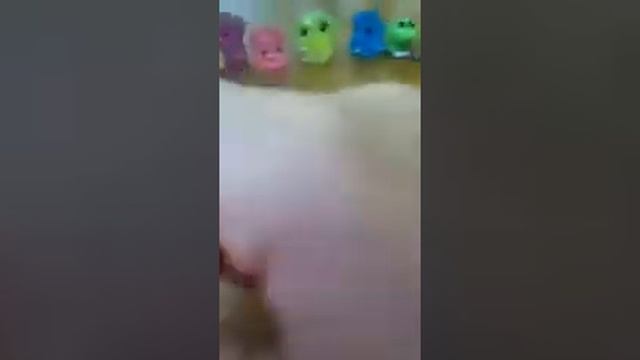 All about rare Squinkies смотреть онлайн