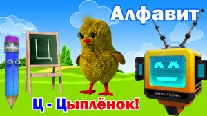 Азбука. Алфавит. Учим Буквы. Буква Ц!