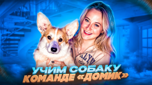 Команда «Домик»

УЧИМ СОБАКУ КОМАНДЕ «ДОМИК»