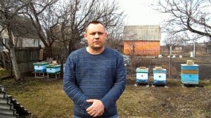 КАКОЙ УЛЕЙ И ПОРОДУ ПЧЁЛ ВЫБРАТЬ НАЧИНАЮЩЕМУ ПЧЕЛОВОДУ?!?!