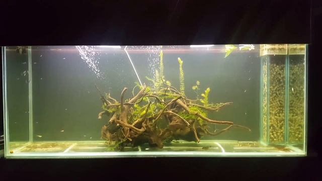 Island Scape Aquarium смотреть онлайн