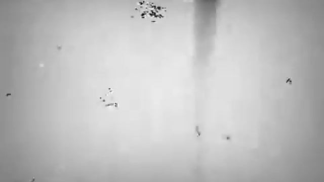 Время отбирать яйца ) смотреть онлайн