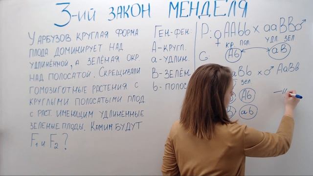 Третий закон Менделя / Задача смотреть онлайн