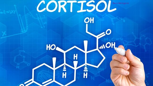 Кортизол- гормон стресса. Елена Бэкингерм смотреть онлайн