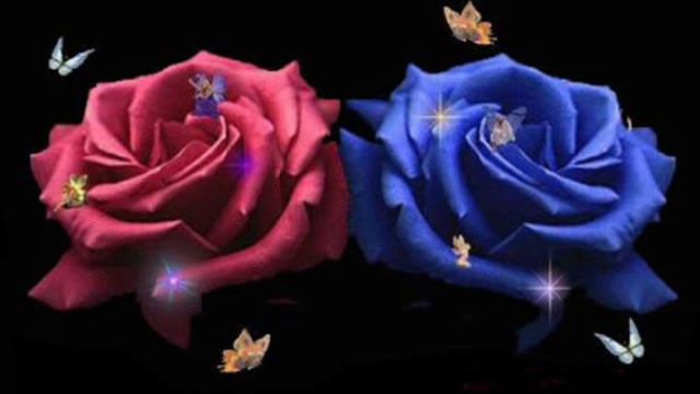 The Rose смотреть онлайн