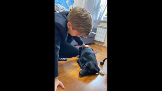 С. Есенин "Собаке Качалова" #читаемЕсенина смотреть онлайн