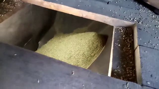 кэзс если вы хотите чтобы я снял как она сортирует то я сниму видос смотреть онлайн