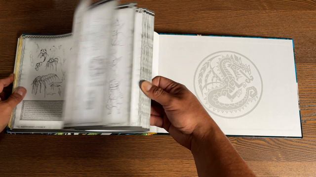 Monster Hunter Illustrations Hardcovers Overview! смотреть онлайн