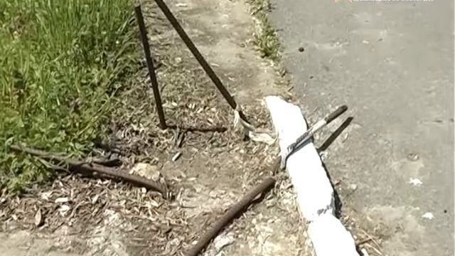 Парк Ленина