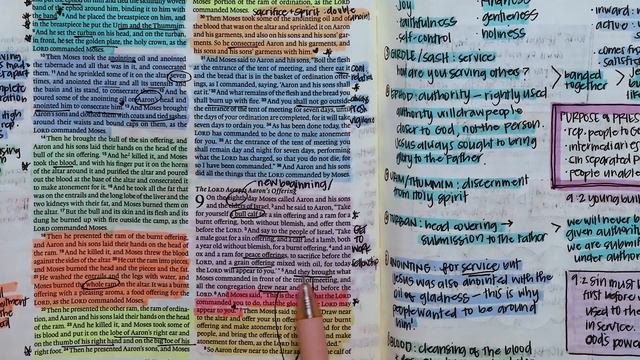 Day 046 Leviticus 8-10 | Daily One Year Bible Study | Audio Bible Reading with Commentary смотреть онлайн