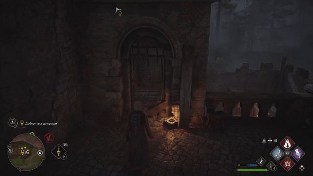 Hogwarts Legacy► Хогвартс Наследие ►Часть 20►Покатушки на гиппогрифах ►PS5►4K