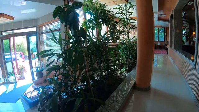 Royal Beach 3*, Золотые пески, короткий обзор помещений, территории и завтрак, июнь 2023 смотреть онлайн