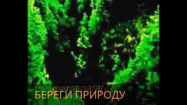 любите природу смотреть онлайн