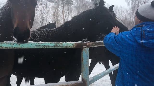 Рязанская область, дорожное путешествие по владениям барона фон Дервиза смотреть онлайн