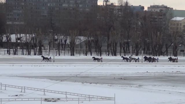 Московский ипподром. Бега. 01.02.15. Заезд 5(53) смотреть онлайн