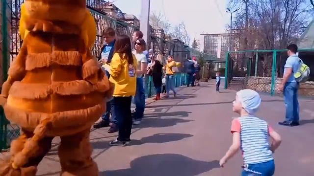 Мальчик дразнит Крейзика зоопарк в Казани смотреть онлайн