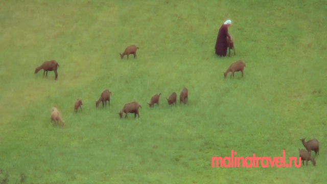 Изборск смотреть онлайн