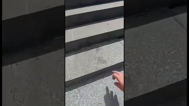 Таврическая лестница в центре Севастополя. смотреть онлайн