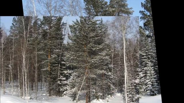 красноярье смотреть онлайн