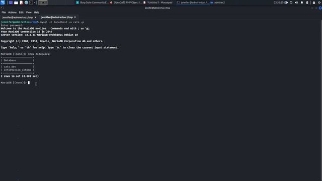 AdmirerToo Hackthebox Walkthrough смотреть онлайн